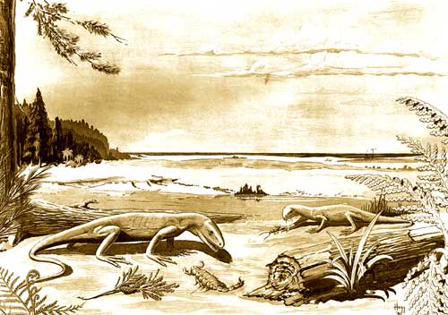 sketch of Pennsylvanian lagoon showing small reptiles and scorpians