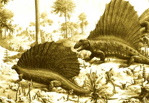 Two large reptiles, with striking fins on their backs; dimetrodon is bulkier and has larger head and teeth.