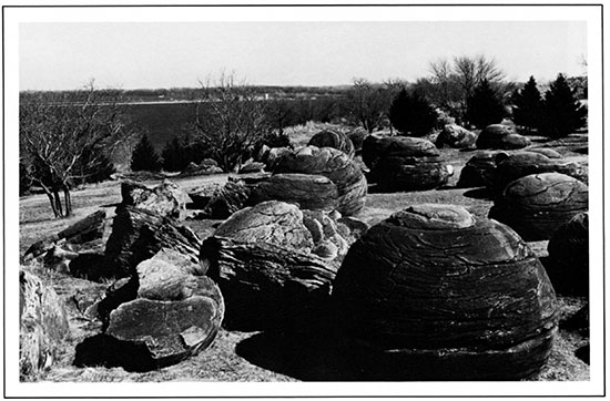 Sandstone Concretions at Rock City, Ottawa County.