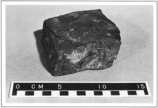 Coal Sample from Southeastern Kansas.