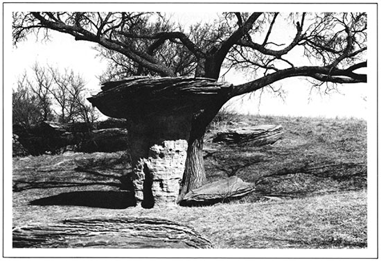 Mushroom Rocks State Park in Ellsworth County.