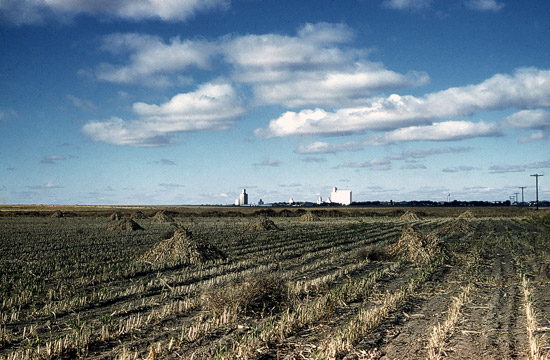 High Plains, western Kansas.