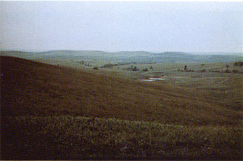 The Flint Hills prairie.