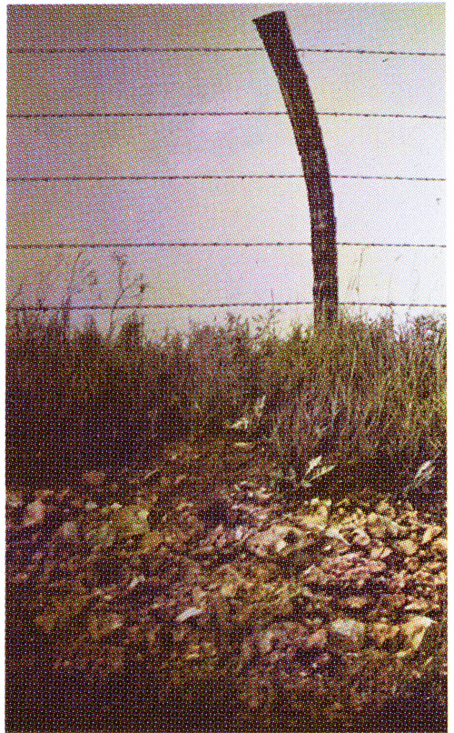 Flinty gravel which occurs practically at grass-root level throughout the Flint Hills region.