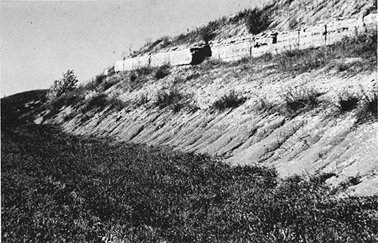 Alternating limestone and shale in a roadcut on 1-70 near Manhattan.