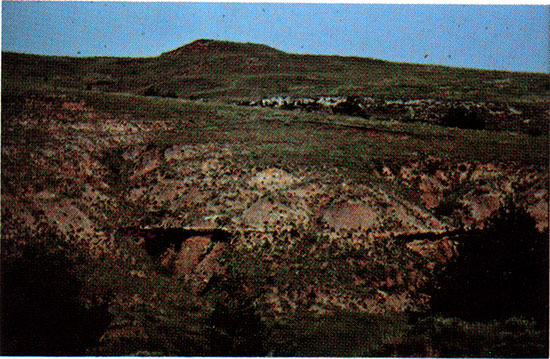 Red Hills with beds of gray gypsum, Barber County.