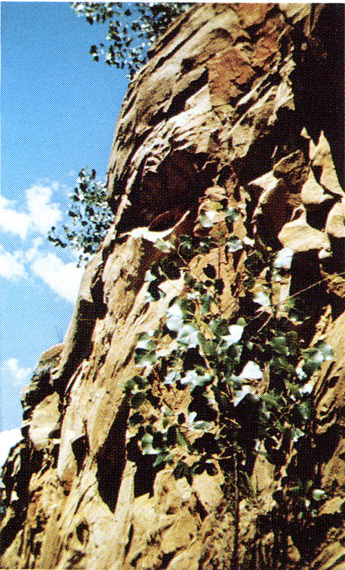 Sandstone outcrop in the Chautauqua Hills.