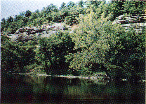 Limestone cliffs on Shoal Creek south of Galena in Cherokee County.