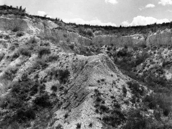 Black and white photo of steep hillside, sparse brush.