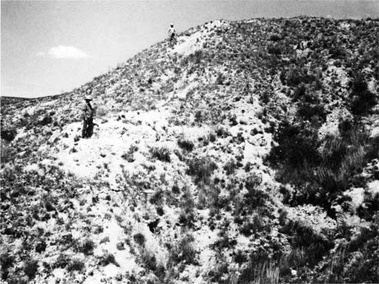 Black and white photo of gentle hillside, sparse brush, two men for scale.