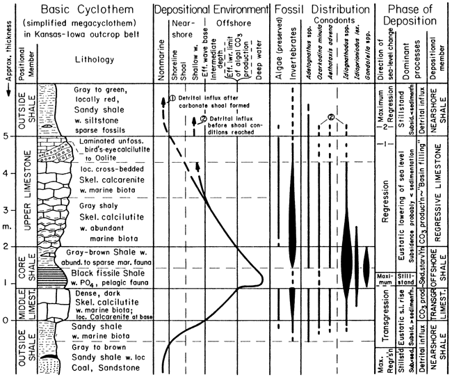 Chart compares rock type in parts of cyclothem to the depositional environment, the fossils found, and the depositional phase.