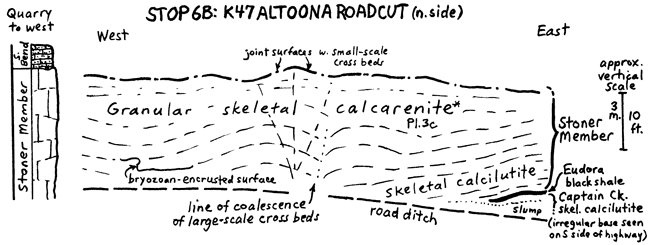 Sketch of roadcut at stop 6b, Stoner Mbr in several phases above Eudora Sh and Captain Creek Mbr.