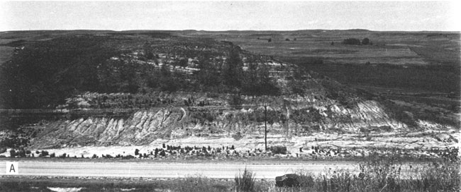 Black and white photo of hillside at stop 1.