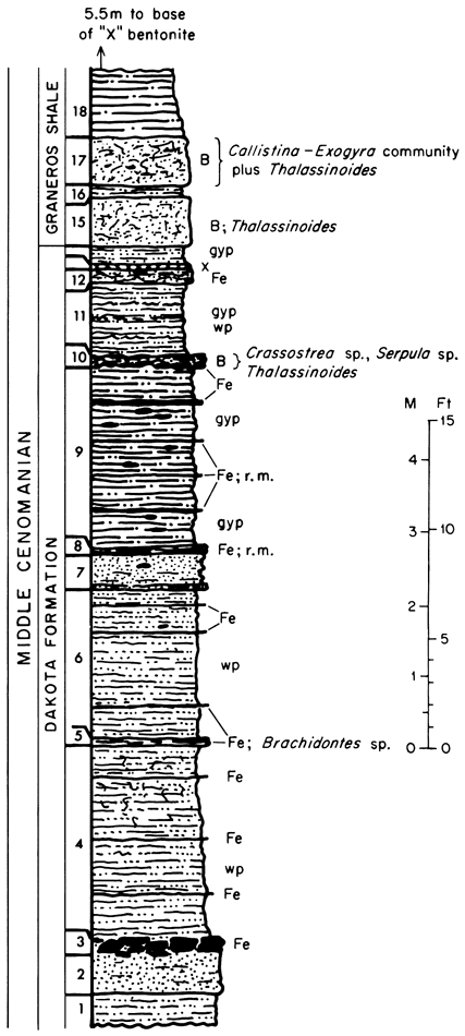 From top, Graneros Shale and Dakota Formation.