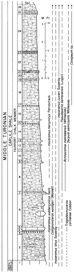 Fairport Chalk Mbr of Carlile Shale.