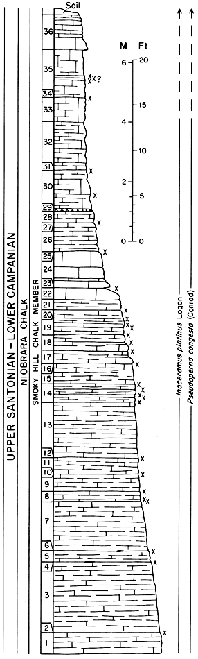 Smoky Hill Chalk Mbr of Niobrara Chalk.