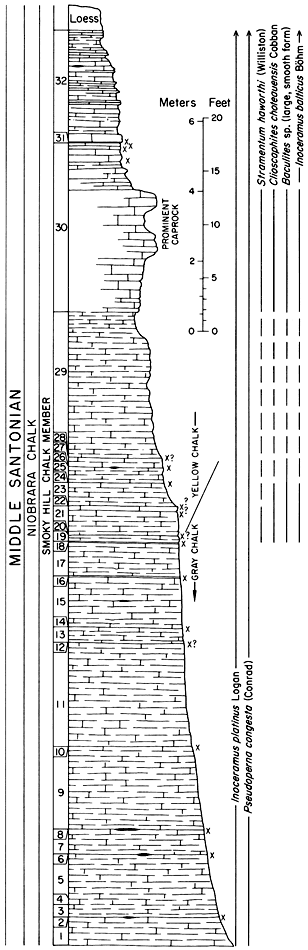 Smoky Hill Chalk Mbr of Niobrara Chalk.