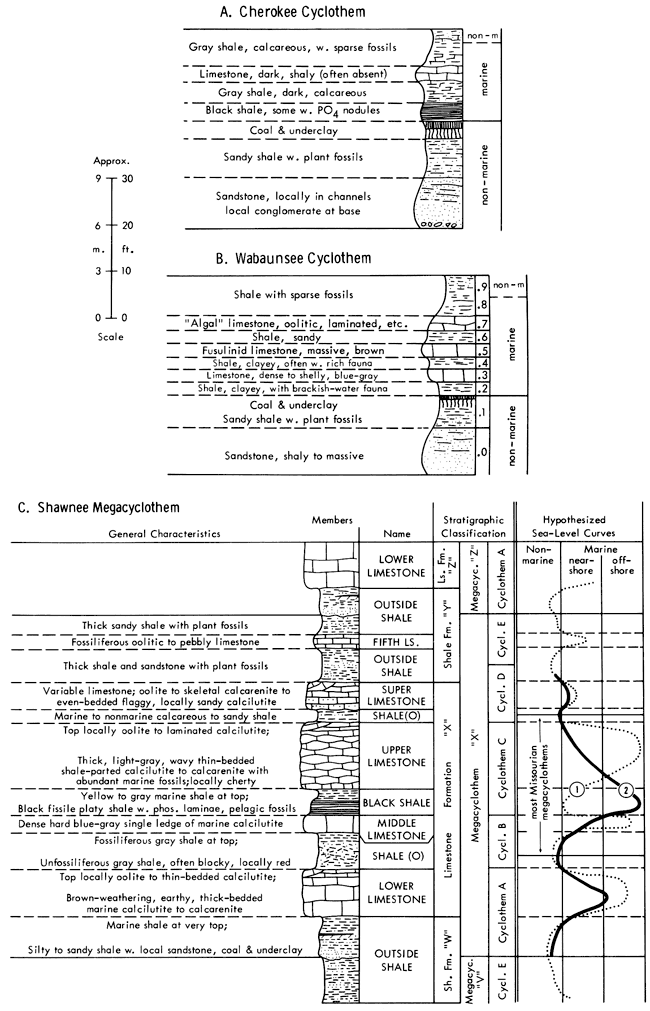 Three stratigraphic charts with information on sea levels or depositional facies for three cyclothems.