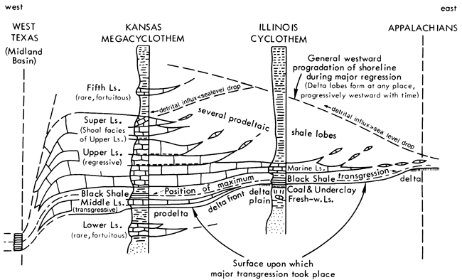 Facies changes from Texas to Kansas and Illinois to Appalachians.