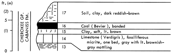 Cabaniss Fm: from base, Verdigrid ls, Clay, Bevier coal, and soil-clay.