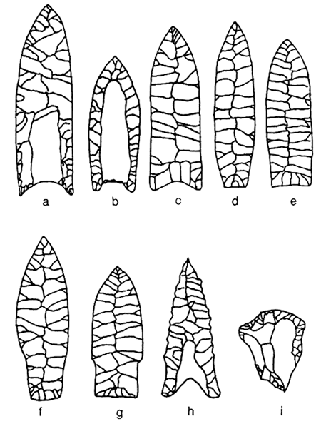 Line drawings of nine projectile points.