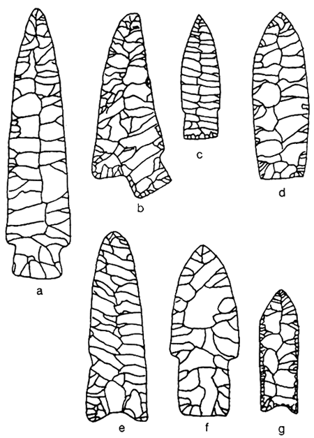Line drawings of seven projectile points.