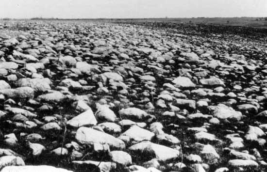 Black and white photo of gently rolling hills covered with glacial erratic boulders.