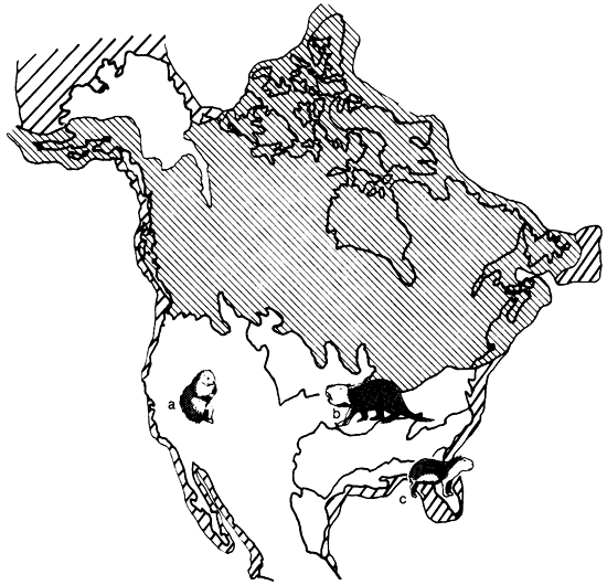 Map of North America showing faunal provinces; prairie dog to west, giant beaver in midwest and northeast, capybara in southeast.