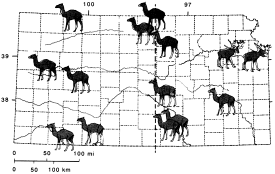 Map of Kansas; Tatschl line runs north-south from easter Harper Co. to eastern Jewell Co.; camels to west and just east of line and in SE; stag-moose in NE Kansas.