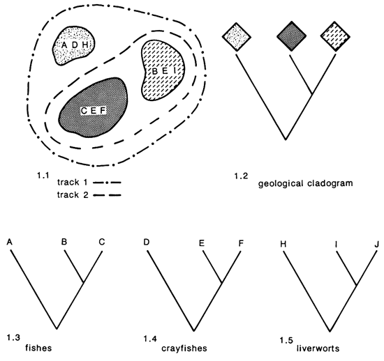 Comparison of tracks and areas where species are found, and cladograms (geological and biological).