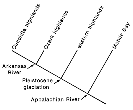 Ouachita highlands have closest relative of Ozark highlands, whose relative is eastern highlands.