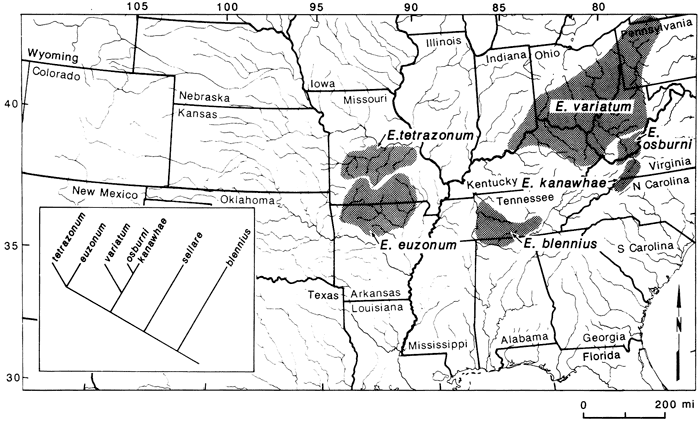 Distribution of Etheostoma variatum in south-central, Ohio valley, and southern US.