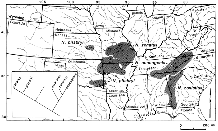 Distribution of Notropis zonatus-coccogenis in south-central, Ohio valley, and southern US.