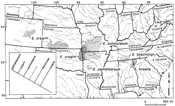 Distribution of Ozarka subspecies in south-central Kansas, southern Missouri, and northern Arkansas.