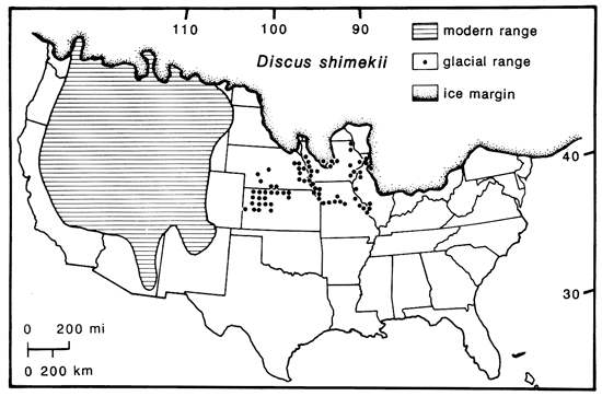 Map of United States showing modern range of Discus shimekii is in Rocky Mountains; glacial range included Kansas and upper Missouri and Miss. river valleys south of ice sheet.