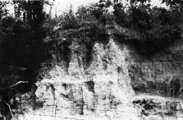 Black and white photo of volcanic ash and Buck Creek terrace, north of DeSoto.