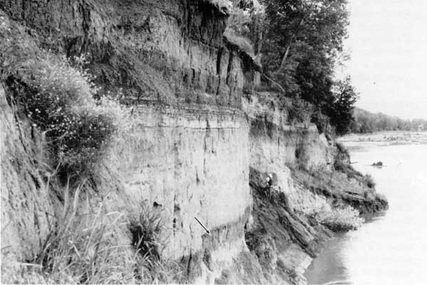 Black and white photo of steeply eroded river bank showing Newman fill stratigraphy.