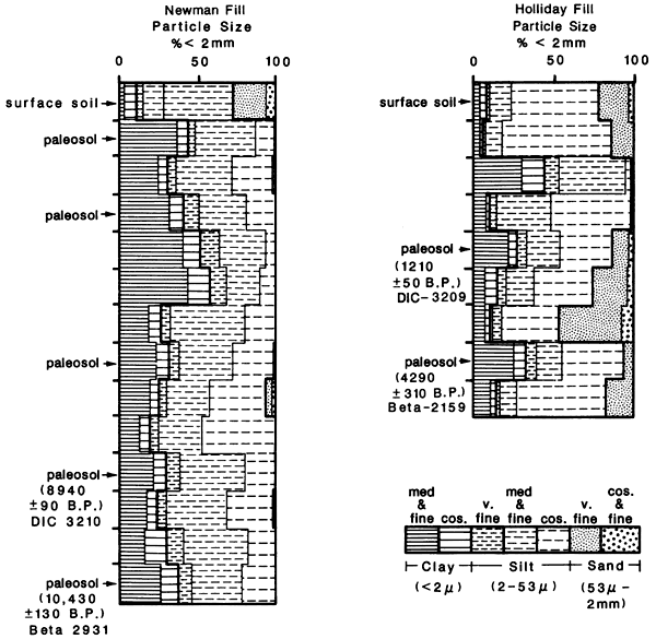 Two charts showing particle sizes found at different depths for Newman fill and Holliday fill.