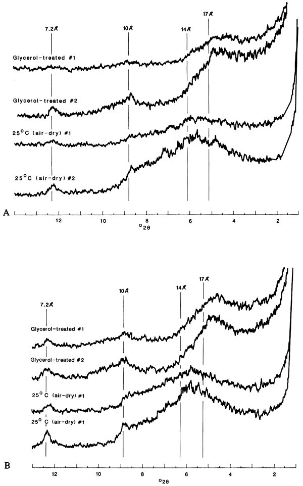 X-ray diffraction patterns of the whole clay fraction from the Wamego riverbank exposure.