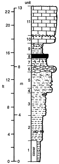 Description of North Arma section; split into 11 units.