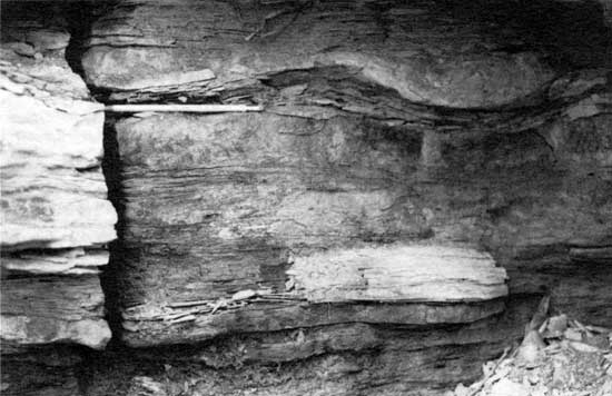 Black and white photo of load features in roadcut.