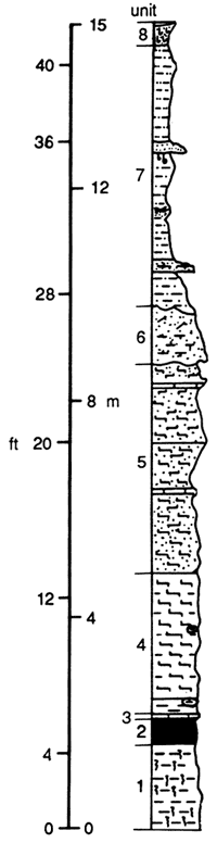 Description of Lawrence Cemetery section; split into 5 units.