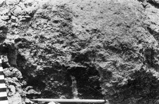 Black and white closeup photo of outcrop; pencil for scale.