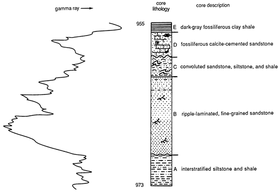 Lithofacies split into 5 zones, also shown with gamma ray signature.