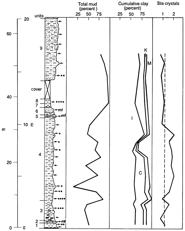 Lithologic chart compared to total mud (percent), cumulative clay (percent), and illite crystals.