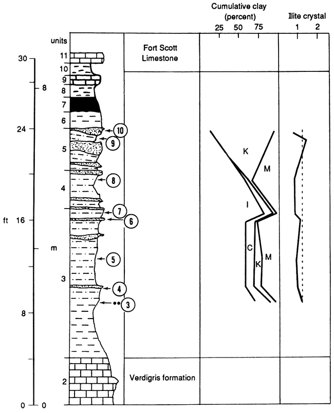 Lithologic chart compared to cumulative clay (percent) and illite crystals.