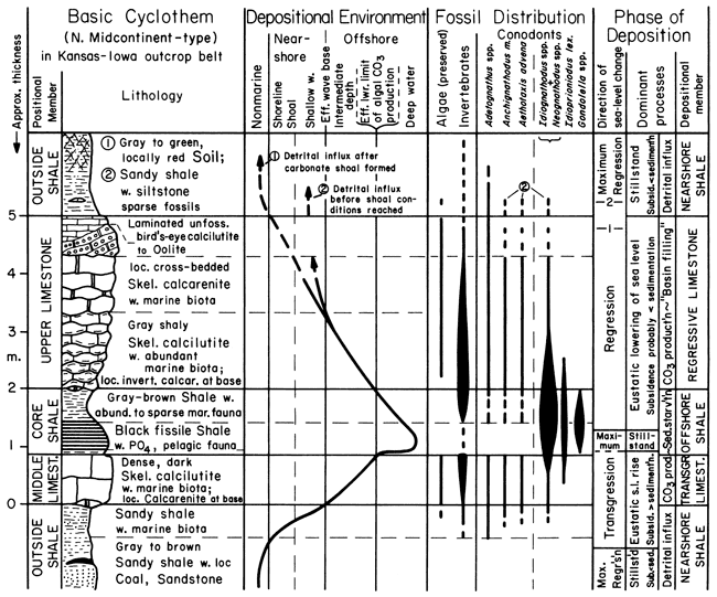 Chart compares strat chart for basic cyclothem with depositional environment, fossil types, conodonts, and depositional phase.