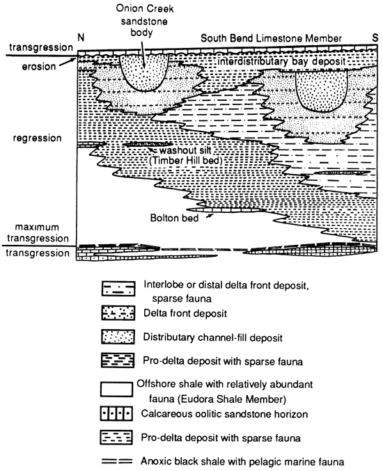 Cross section through Stanton Limestone.