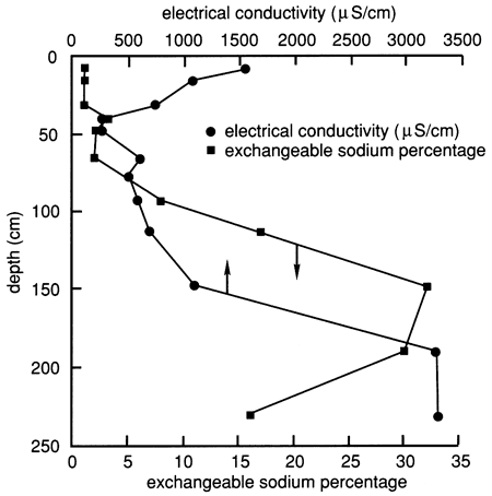 Conductivity and sodium exchange curves are similar; conductivity at 1500 micro siemens per cm at surface, drops to close to 0 at 50 cm, then rises steadily to 3500 by 200 cm.