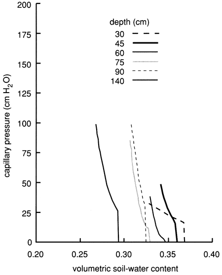 Water-retention curves have similar shape no matter the depth, though deeper samples have lower values.